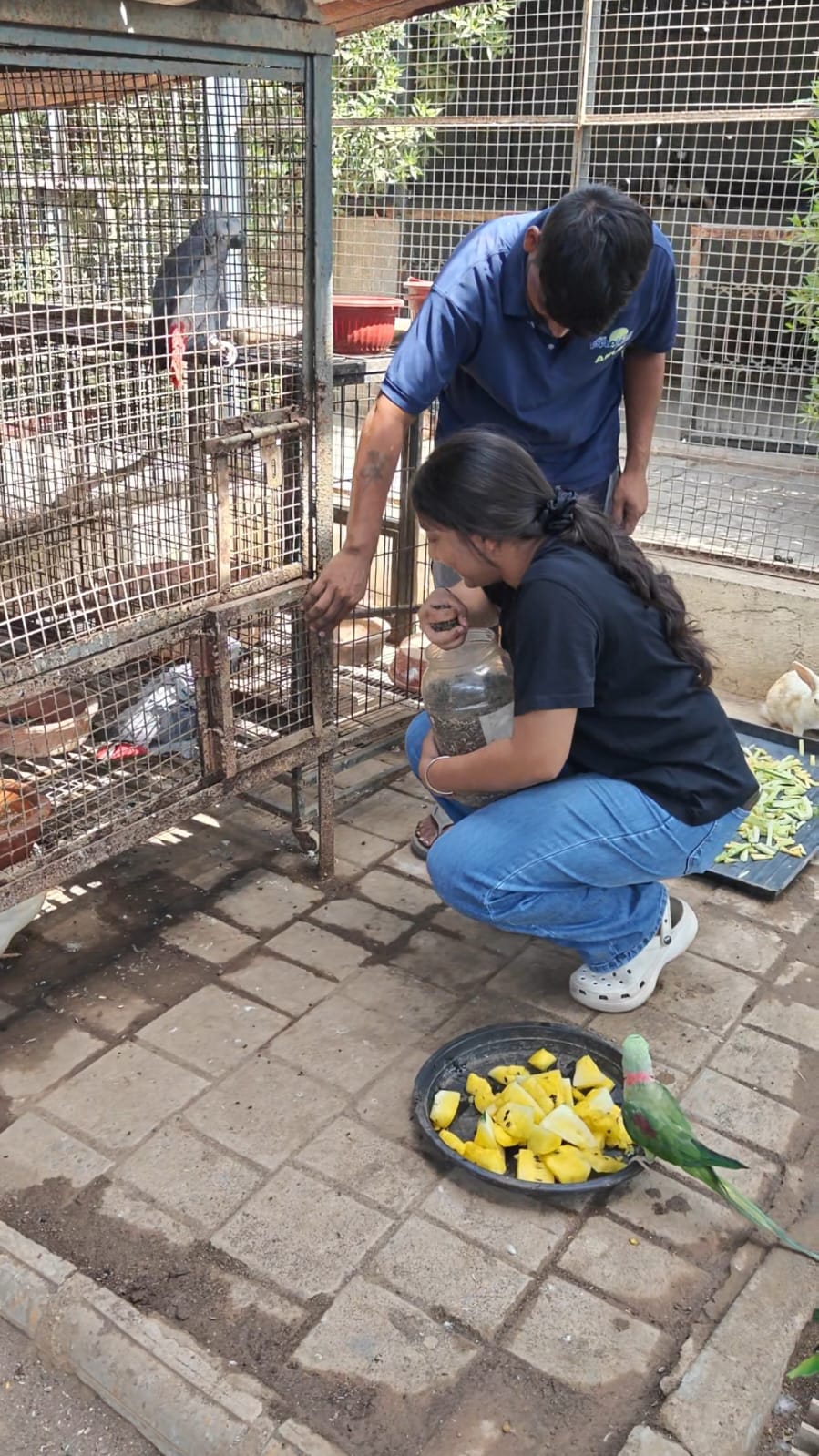 Naisha and a shelter worker caring for birds