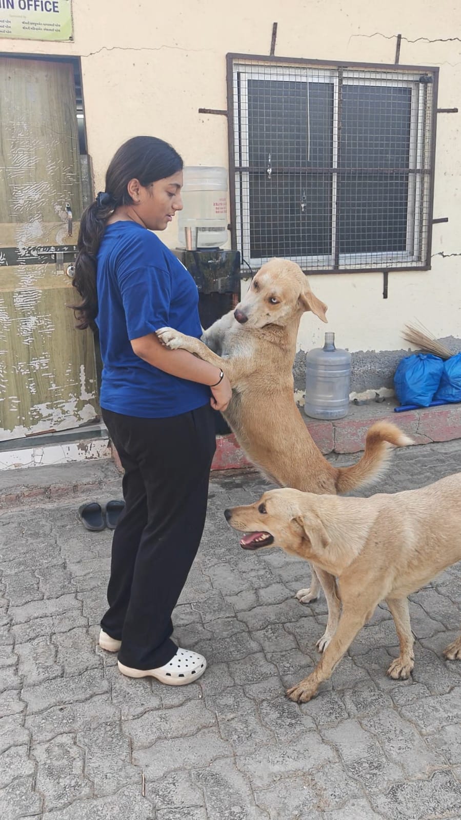 Naisha spending time with rescued dogs